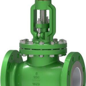 Globe valve