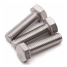 SS hex bolt