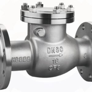 Swing check valve