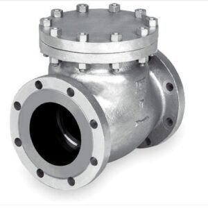 Check valve close-up showing automatic backflow prevention | Gloscope Trading